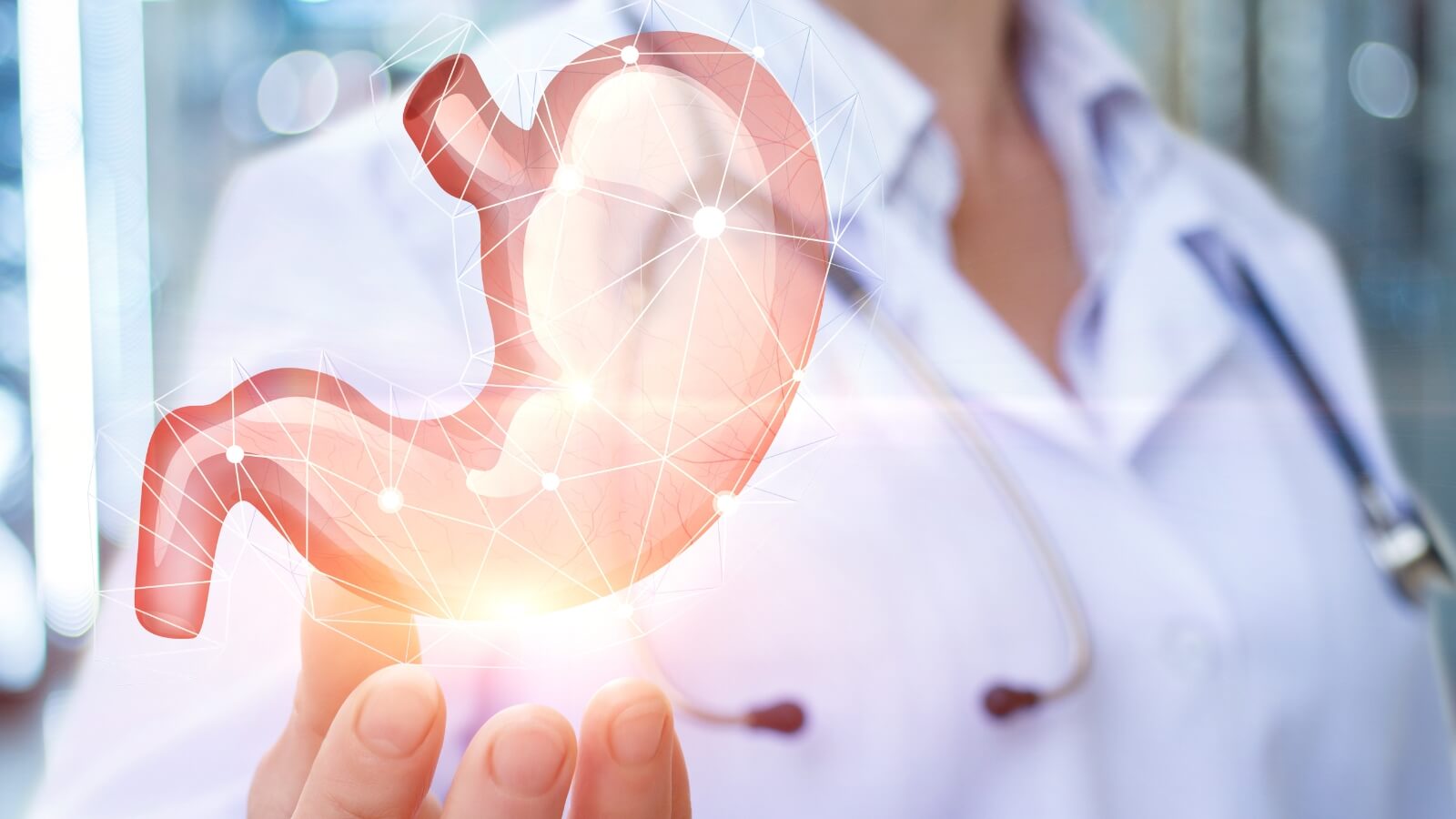 Dạ d&agrave;y l&agrave; cơ quan ti&ecirc;u h&oacute;a quan trọng của cơ thể