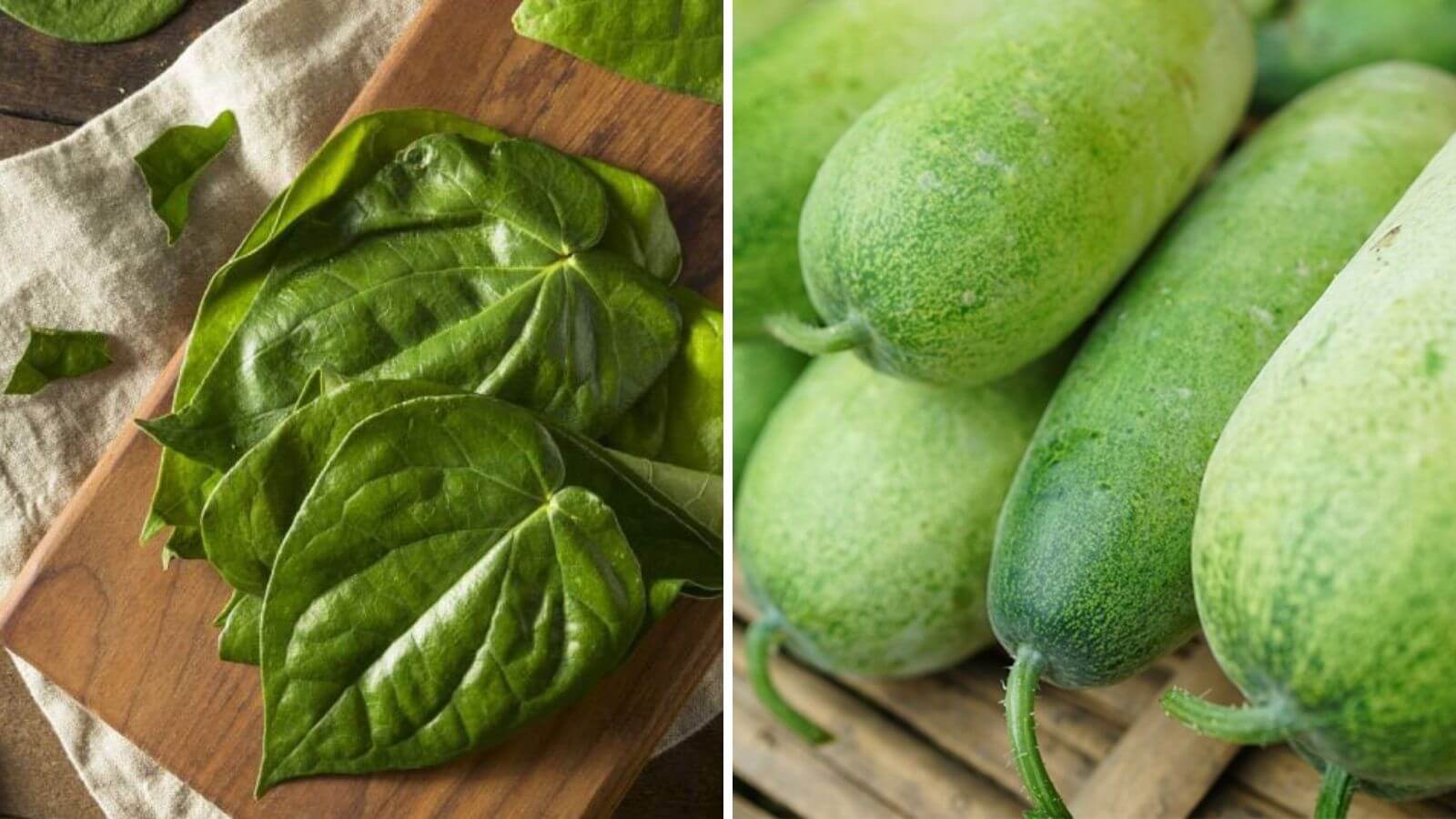 Điều trị vi&ecirc;m tuyến tiền liệt bằng c&aacute;c loại nguy&ecirc;n liệu trong thi&ecirc;n nhi&ecirc;n