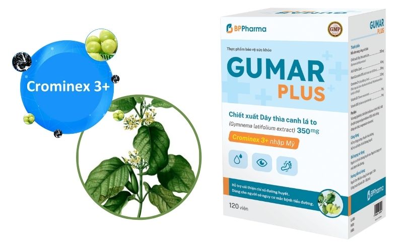 Thực phẩm chức năng Gumar Plus c&oacute; chiết xuất từ thảo dược d&acirc;y th&igrave;a canh l&agrave; to điều trị tiểu đường hiệu quả