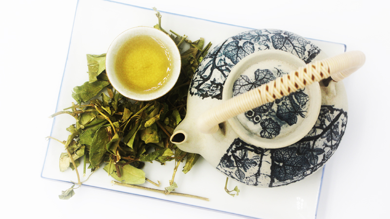 C&aacute;ch d&ugrave;ng c&acirc;y th&igrave;a canh chữa bệnh tiểu đường