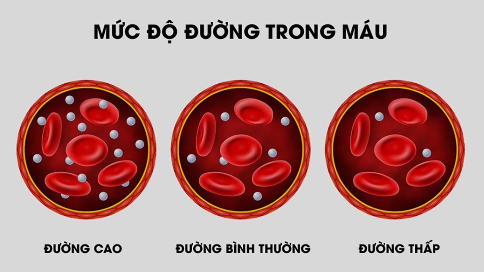 Mức đường trong m&aacute;u ở mỗi thời điểm kh&aacute;c nhau l&agrave; kh&aacute;c nhau