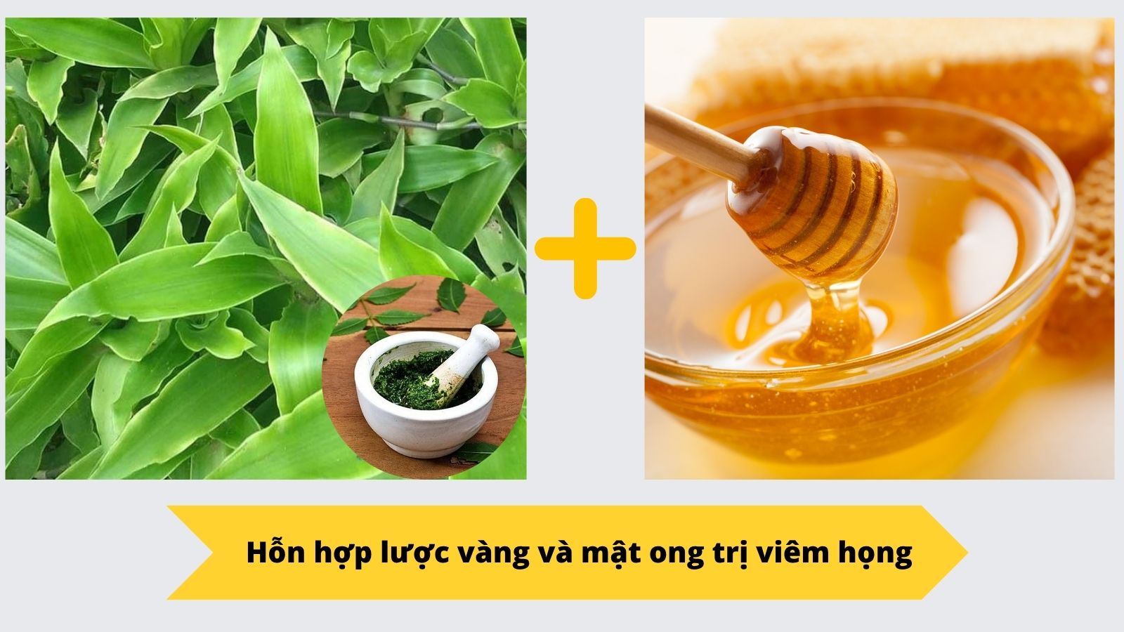 Hỗn hợp l&aacute; lược v&agrave;ng gi&atilde; n&aacute;t trộn với mật ong trị vi&ecirc;m họng