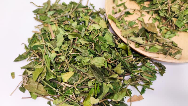 D&acirc;y th&igrave;a canh kh&ocirc; dễ ẩm mốc nếu kh&ocirc;ng biết bảo quản