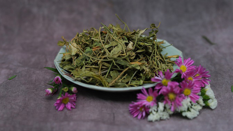 D&acirc;y th&igrave;a canh kh&ocirc; được b&aacute;n tại nhiều địa chỉ kh&aacute;c nhau