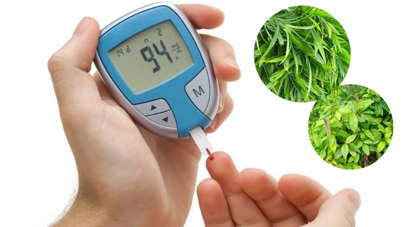 Điều trị tiểu đường c&aacute;ch điều trị bệnh tiểu đường d&acirc;n gian