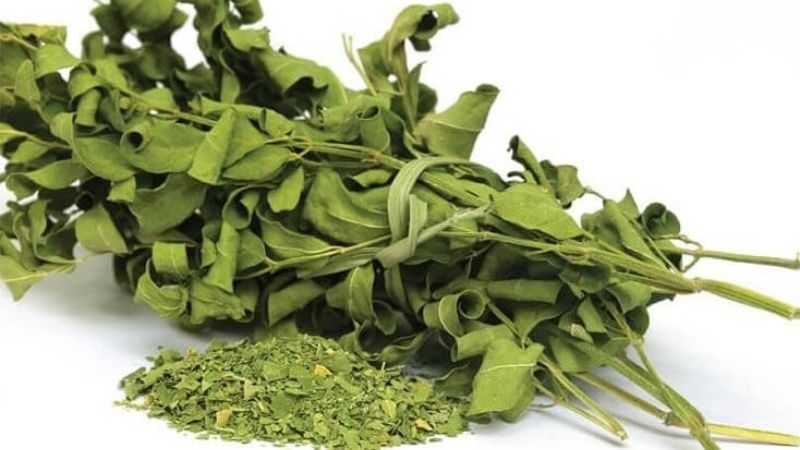 D&acirc;y th&igrave;a canh l&aacute; to được phơi/sấy kh&ocirc;