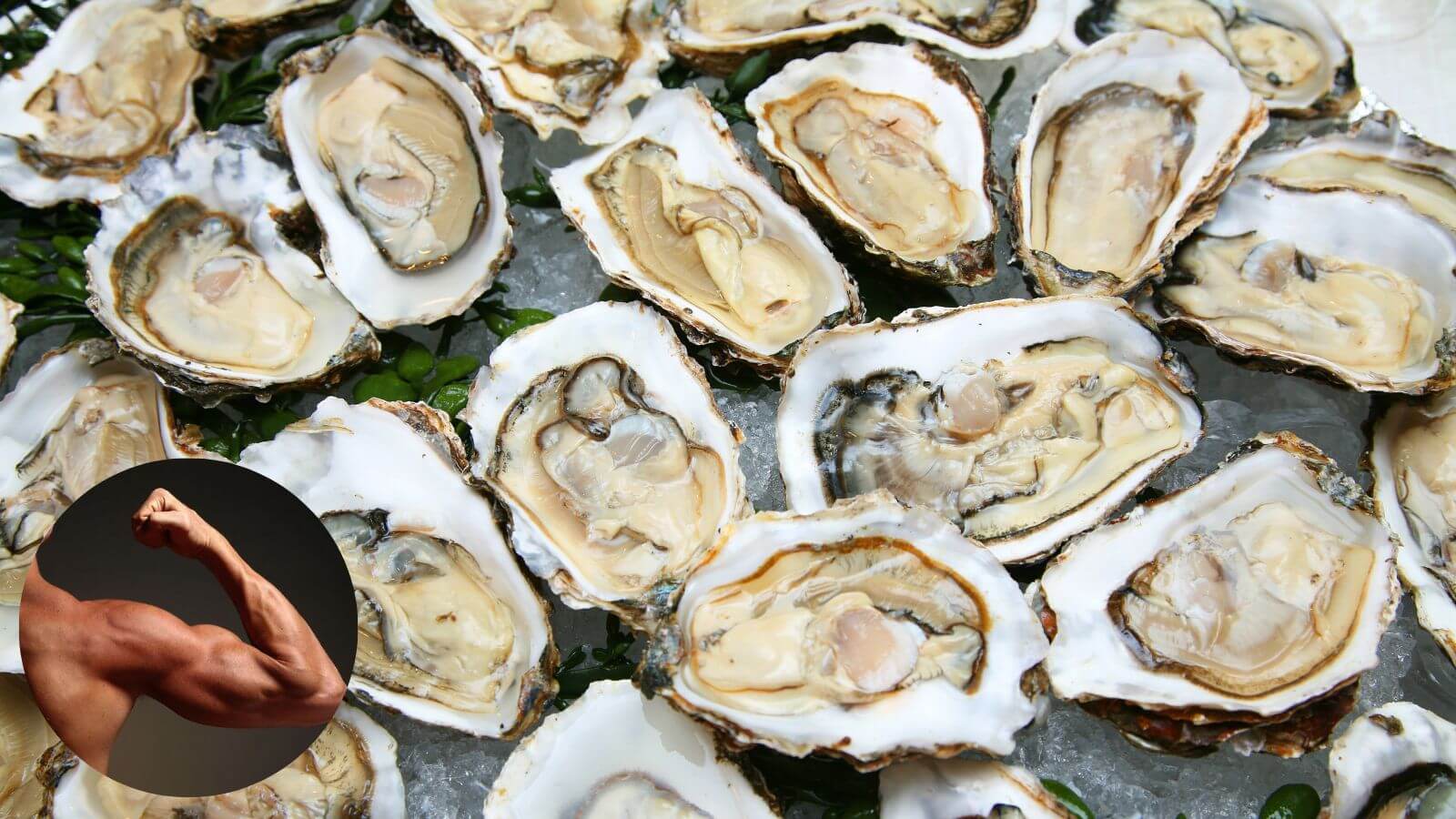 Thịt h&agrave;u - một trong những thực phẩm bổ thận tr&aacute;ng dương phổ biến nhất&nbsp;