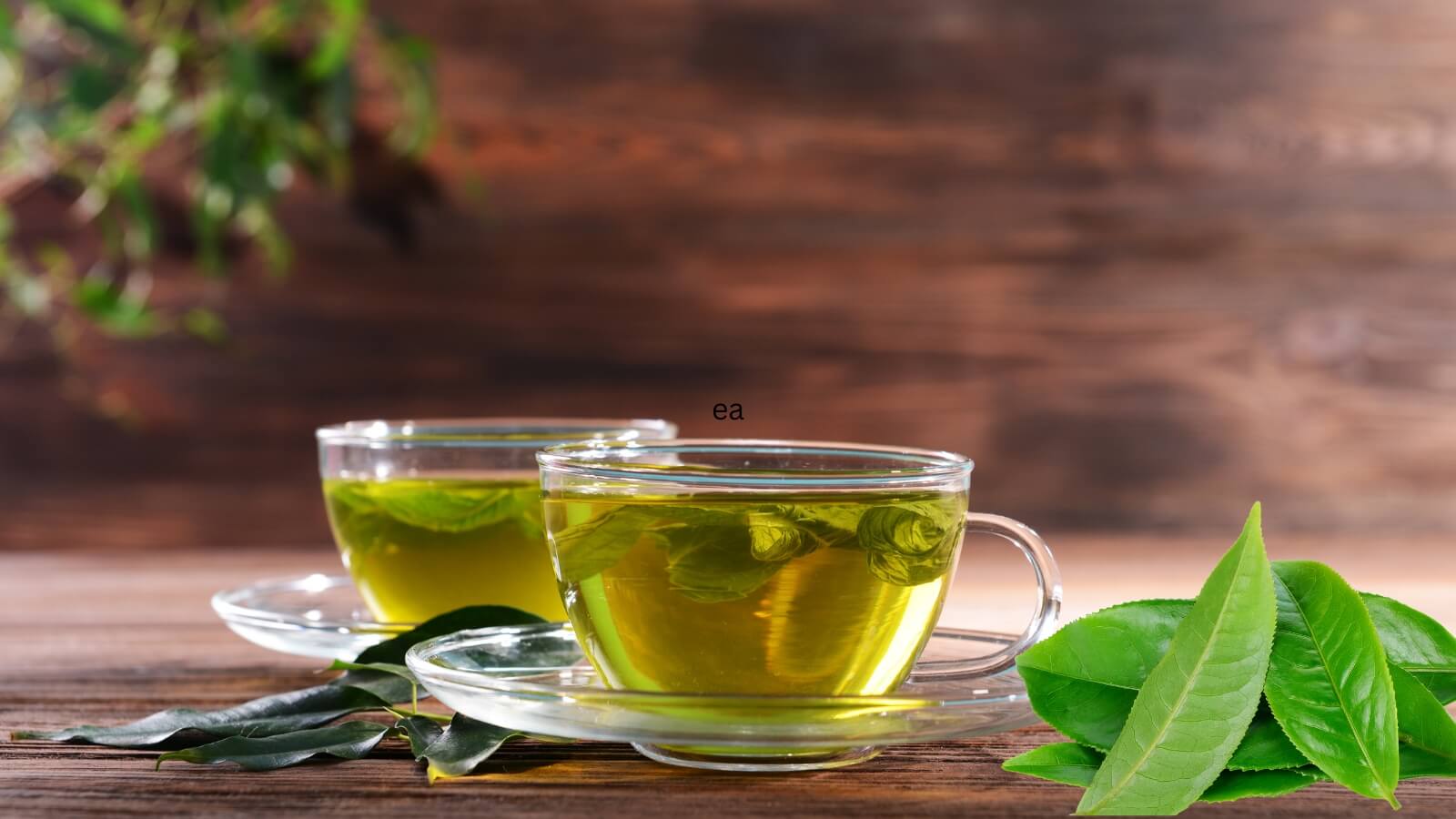 Uống nước trà xanh là cách giải độc gan tại nhà