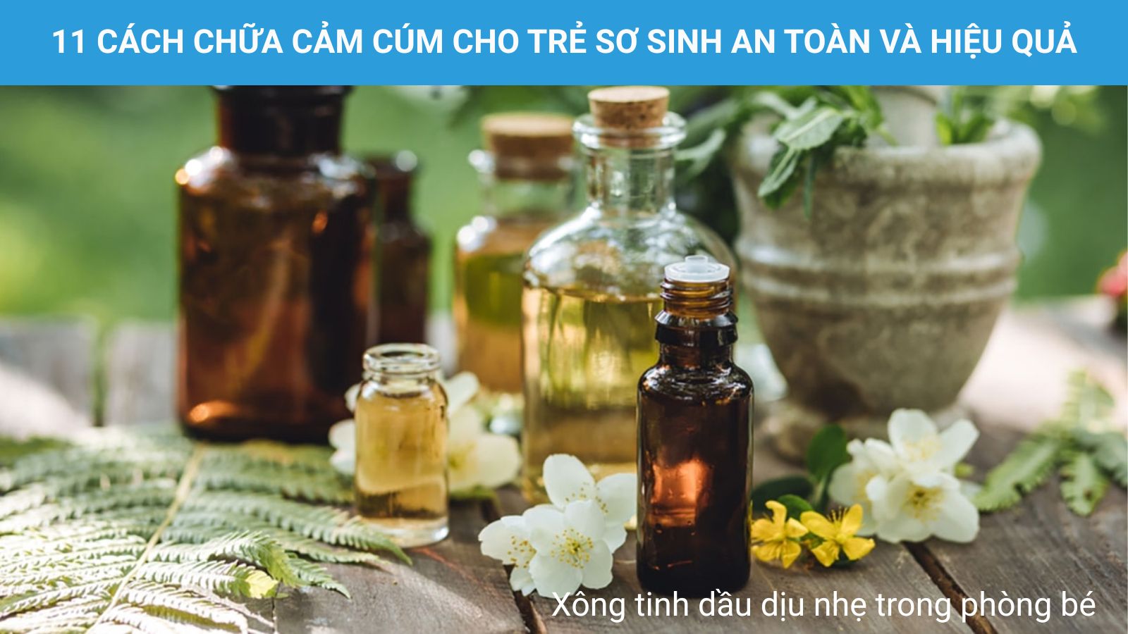 Chỉ n&ecirc;n lựa chọn c&aacute;c loại tinh dầu dịu nhẹ cho trẻ sơ sinh