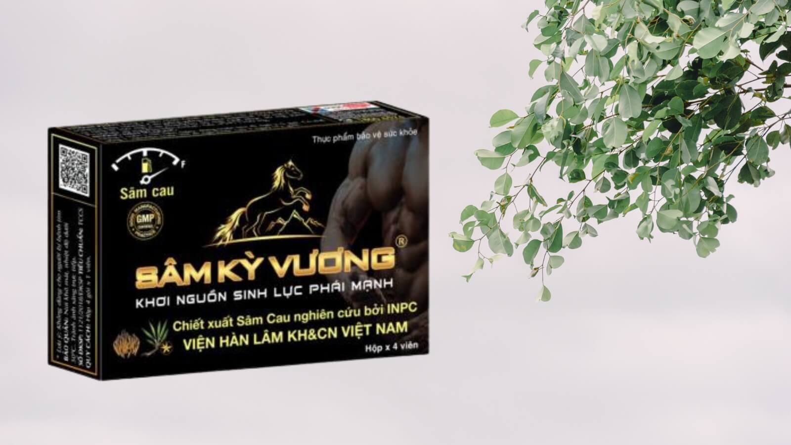 Thực phẩm chức năng bổ sung testosterone để l&agrave;m chậm qu&aacute; tr&igrave;nh m&atilde;n dục nam