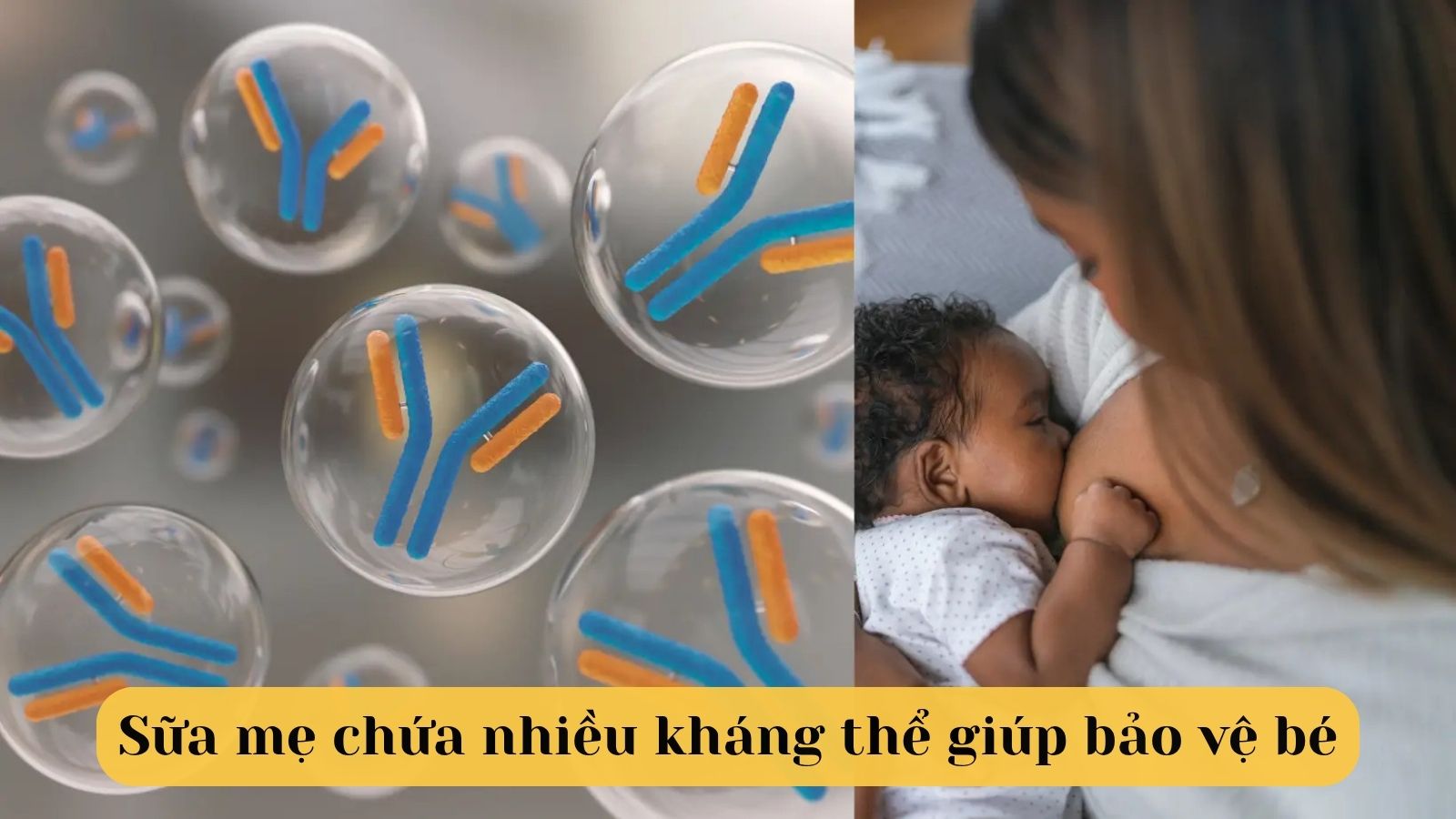 Sữa mẹ chứa nhiều kh&aacute;ng thể gi&uacute;p bảo vệ b&eacute;