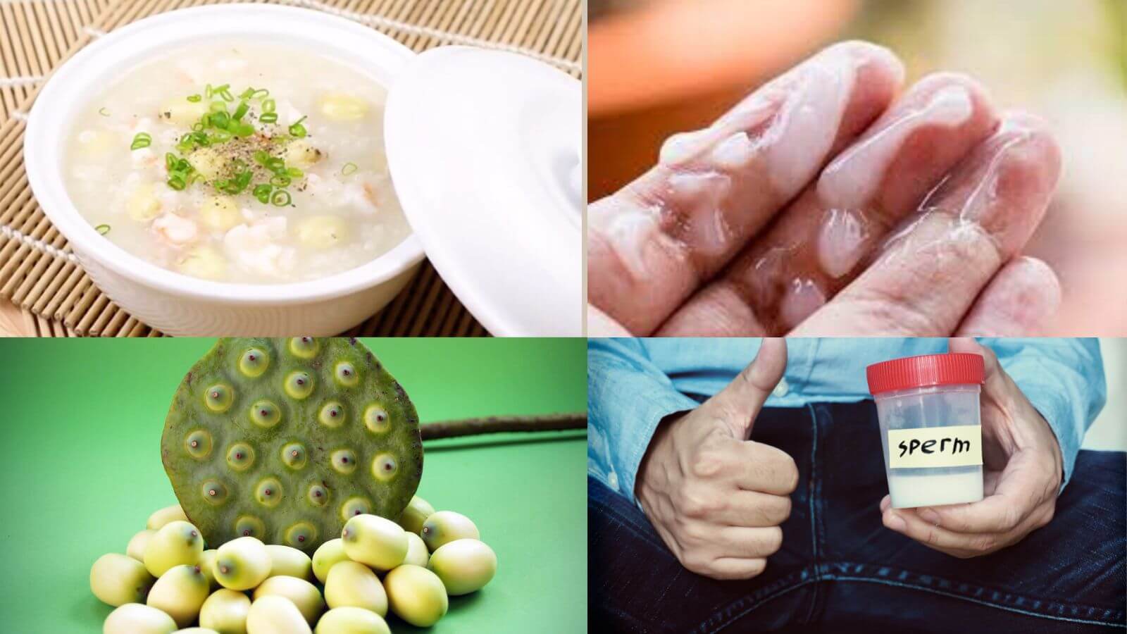 Chữa tinh tr&ugrave;ng đ&ocirc;ng đặc tại nh&agrave; với m&oacute;n ch&aacute;o hạt sen&nbsp;
