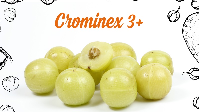 MỚI: Crominex 3+ giảm Trang Chủ Chính Thức HZ88.COM Mới Nhất 2026 và hạn chế biến chứng tiểu đường