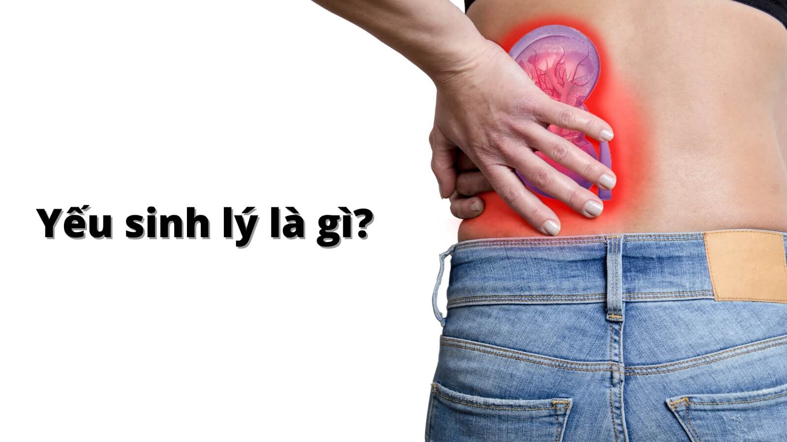 Yếu sinh l&yacute; l&agrave; g&igrave;? 