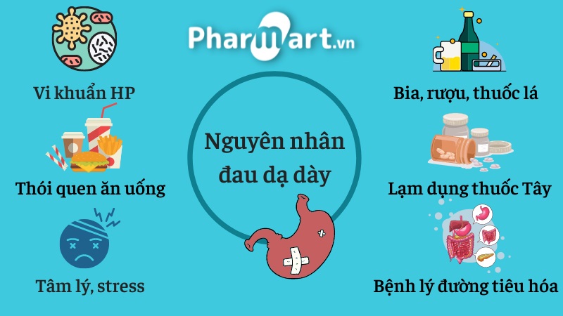 Nguy&ecirc;n nh&acirc;n g&acirc;y bệnh đau dạ d&agrave;y