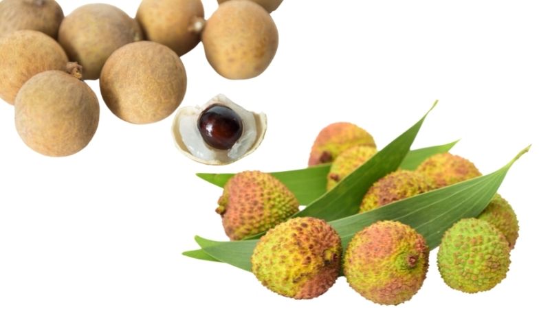 Nh&atilde;n v&agrave; vải rất &iacute;t chất xơ nhưng lại chứa h&agrave;m lượng đường lớn tương đương 1 b&aacute;t cơm trắng.