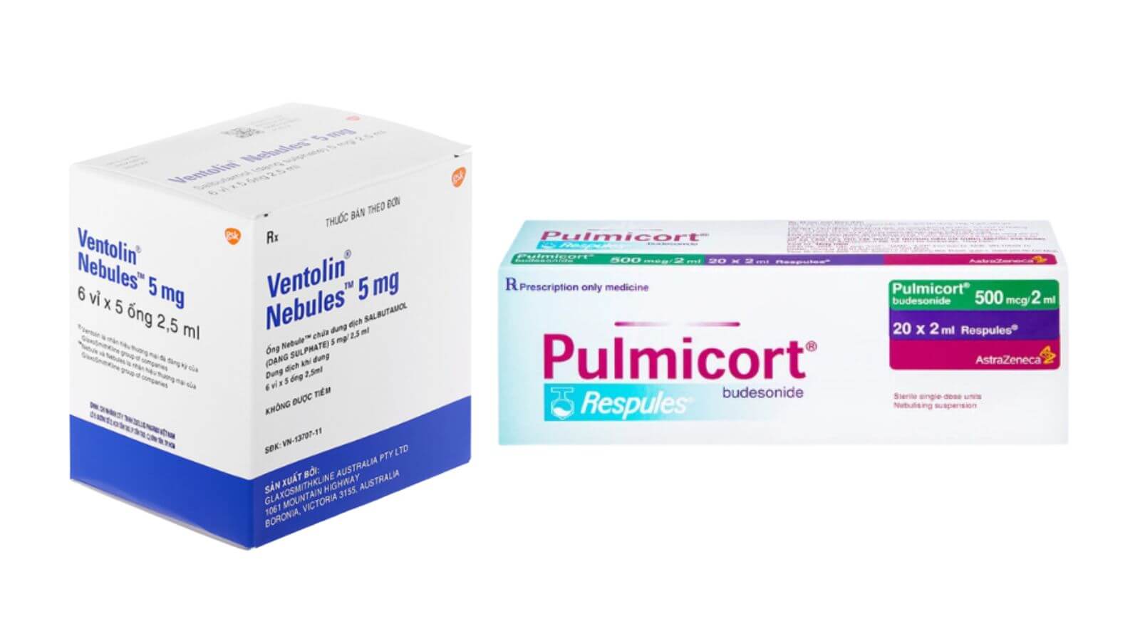 Bệnh nh&acirc;n c&oacute; thể được chỉ định một số loại thuốc kh&iacute; dung