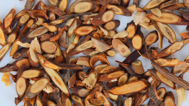 Quế chi chữa tiểu đường