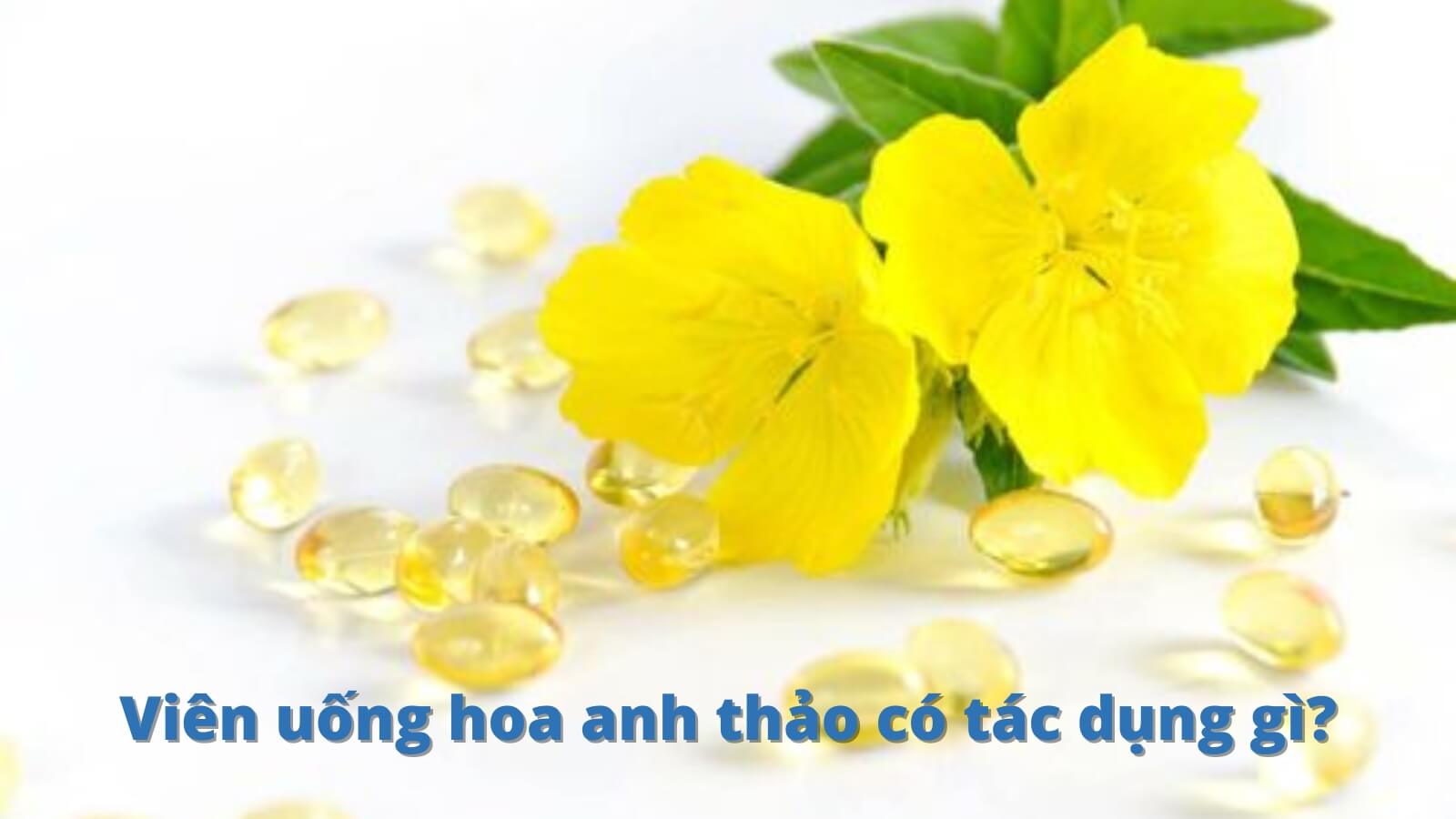 T&aacute;c dụng của vi&ecirc;n uống hoa anh thảo l&agrave; g&igrave;?
