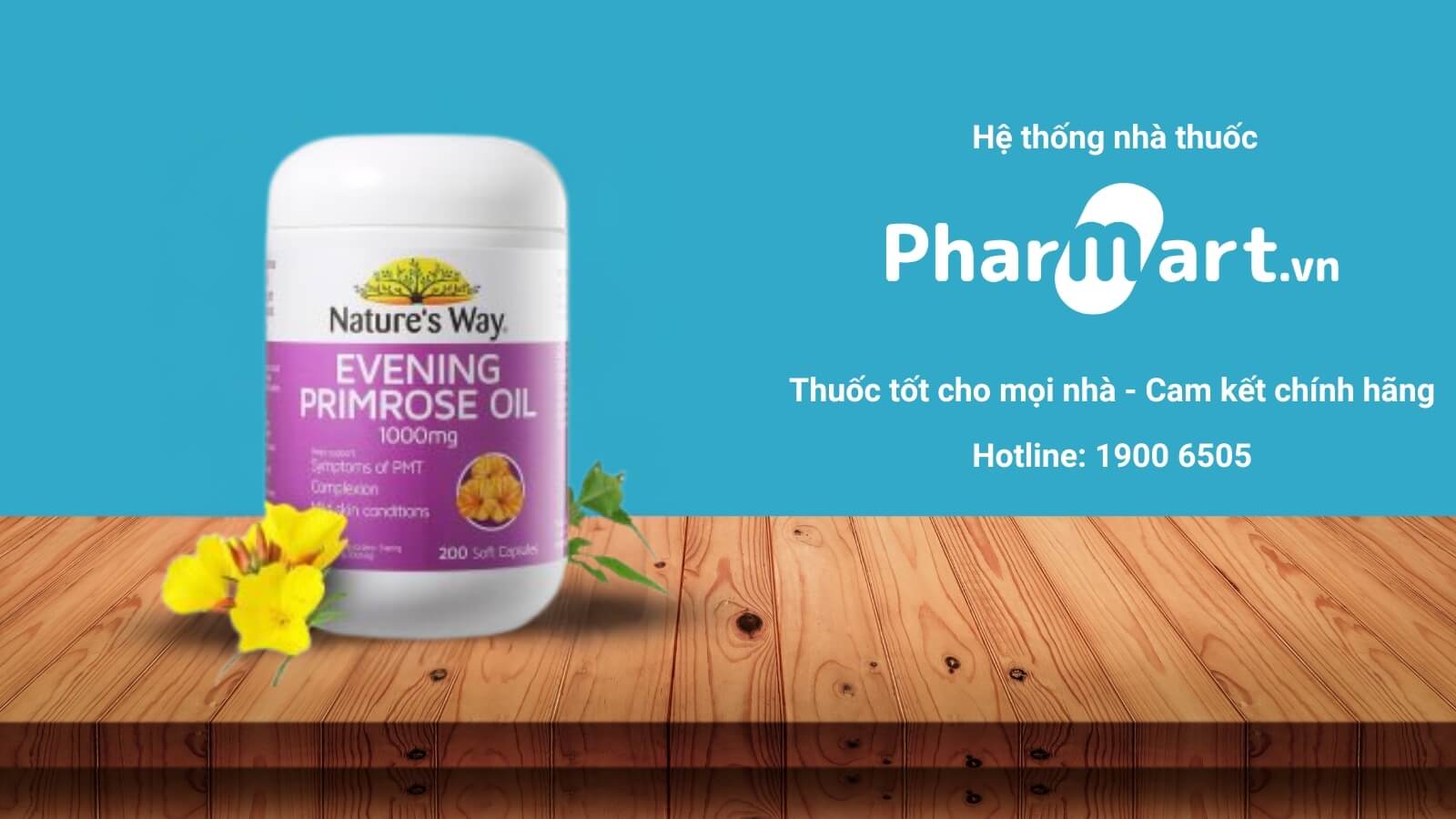 Vi&ecirc;n uống hoa anh thảo Nature's Way