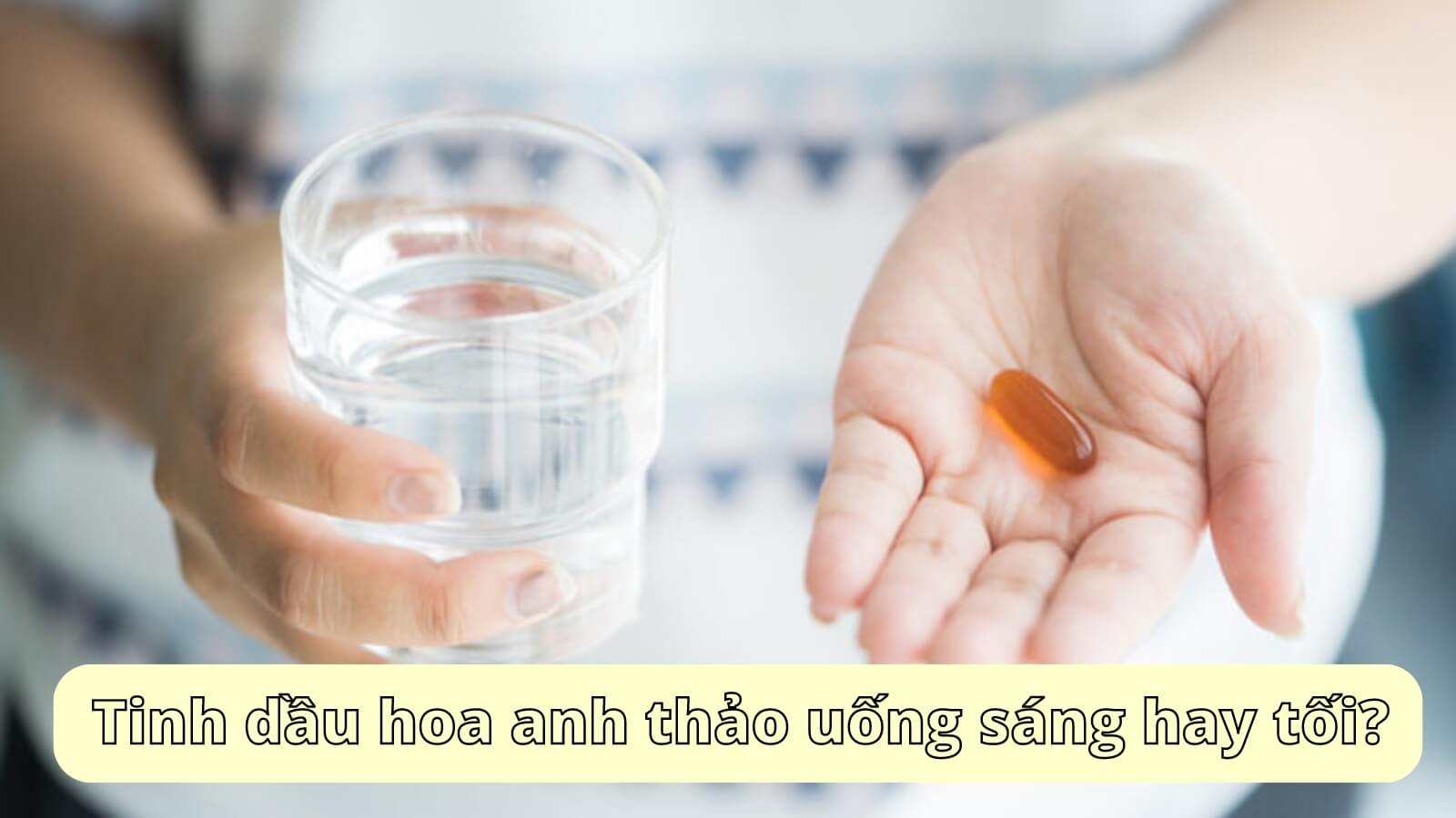 Tinh dầu hoa anh thảo uống v&agrave;o buổi s&aacute;ng hay buổi tối?