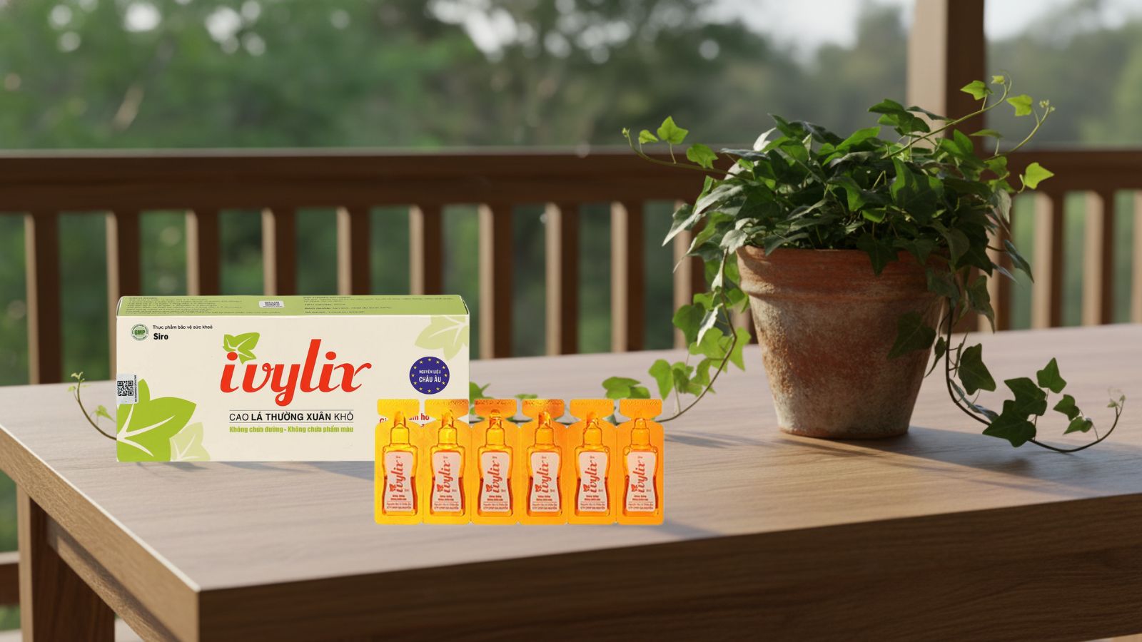 Siro ho cao lá thường xuân Ivylix