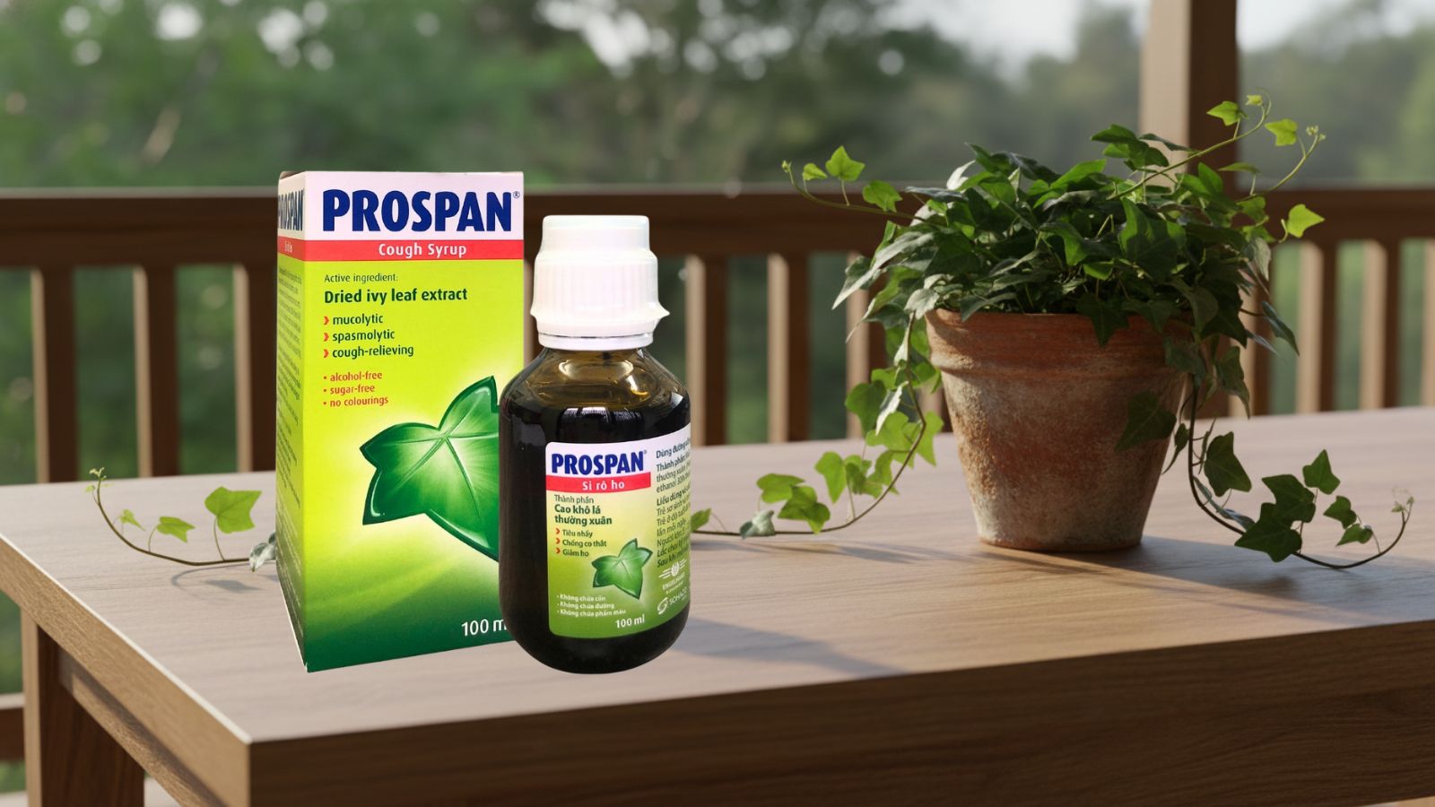 Siro cao lá thường xuân Prospan - lựa chọn ưu ái cho gia đình