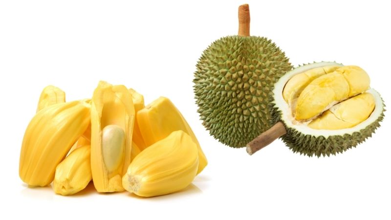 Sầu ri&ecirc;ng v&agrave; m&iacute;t kh&ocirc;ng chỉ g&acirc;y n&oacute;ng m&agrave; c&ograve;n chứa lượng đường rất lớn.