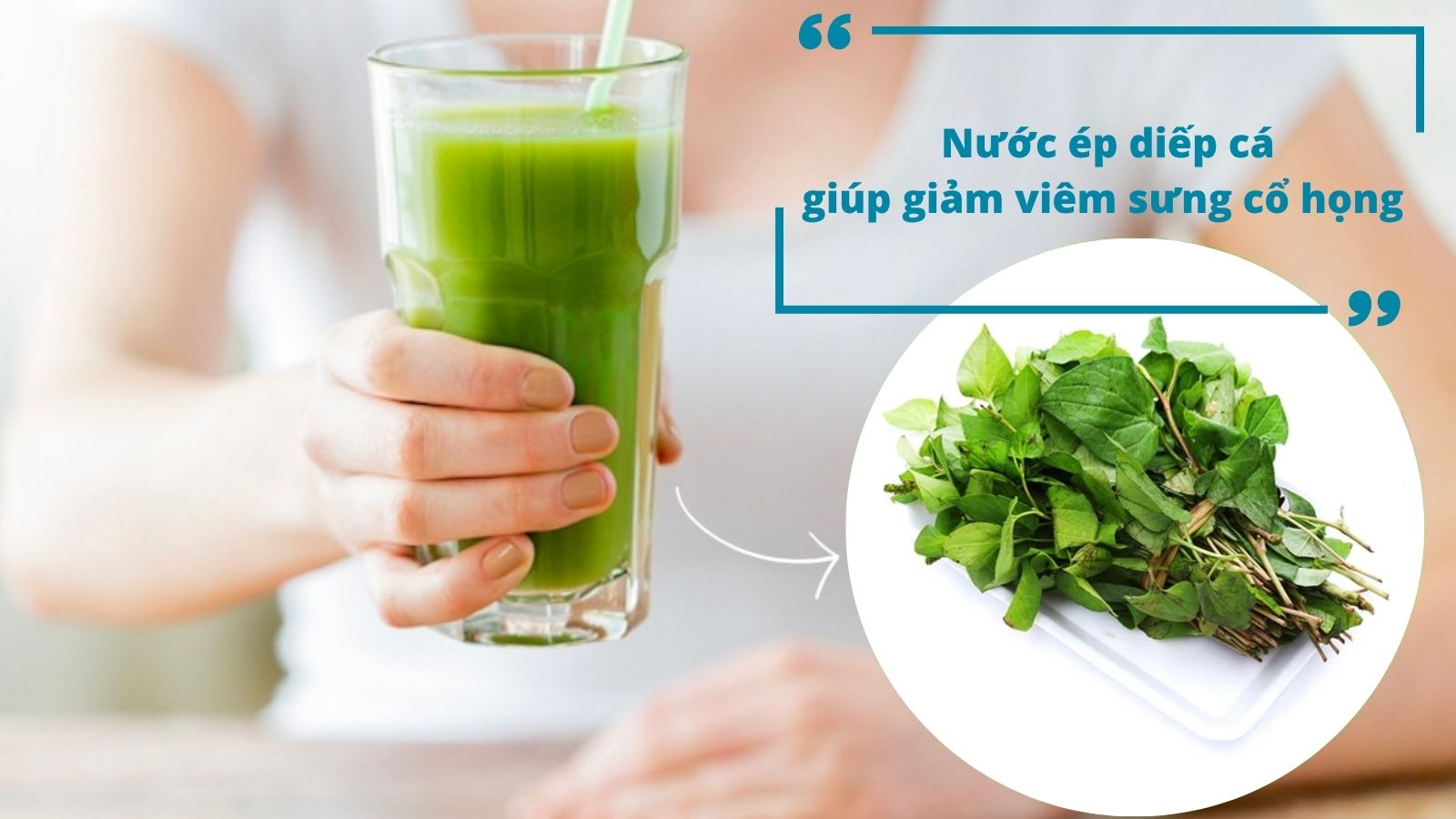 Uống nước &eacute;p l&aacute; diếp c&aacute; gi&uacute;p l&agrave;m dịu cổ họng v&agrave; l&agrave;m giảm sưng đau nhanh ch&oacute;ng
