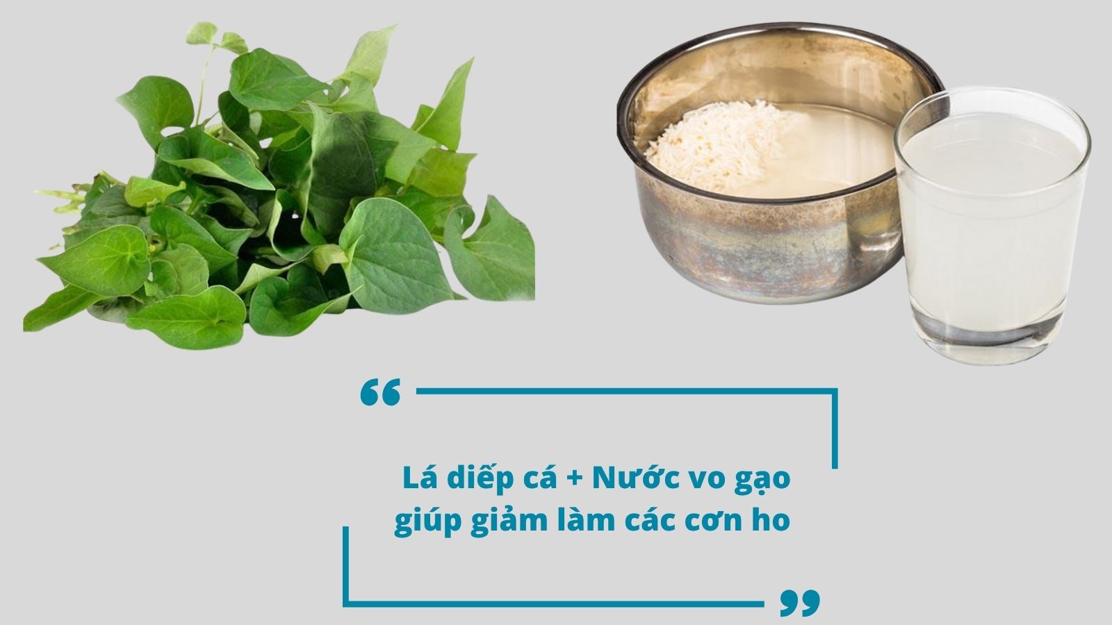 L&aacute; diếp c&aacute; kết hợp c&ugrave;ng nước vo gạo gi&uacute;p thanh lọc, giải độc, hỗ trợ giảm vi&ecirc;m