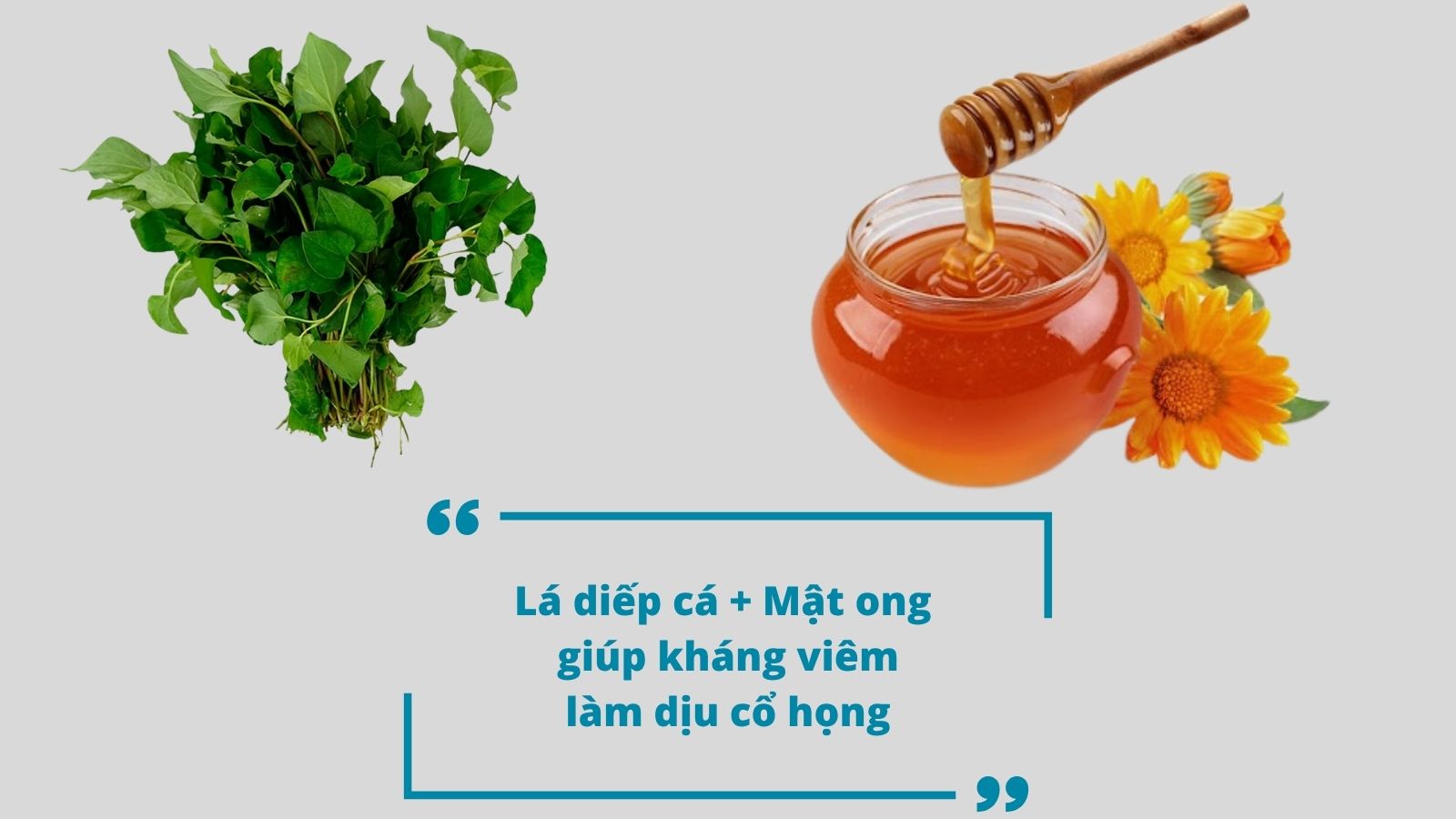 Sự kết hợp giữa l&aacute; diếp c&aacute; v&agrave; mật ong gi&uacute;p tăng sức đề kh&aacute;ng, giảm đau r&aacute;t họng