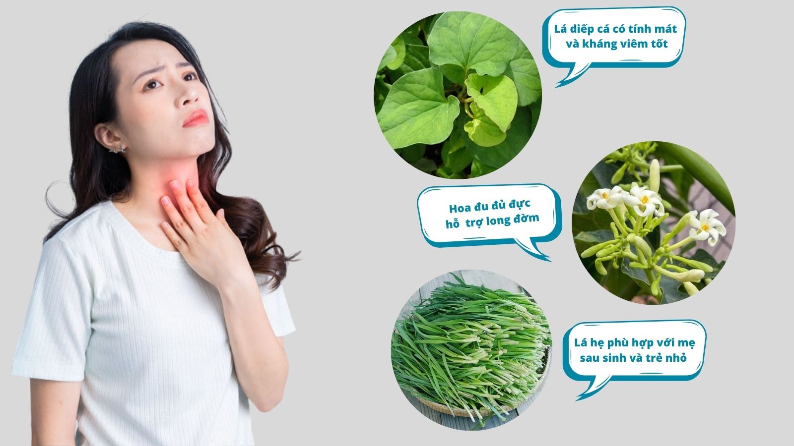 Mỗi loại thảo dược đều c&oacute; ưu điểm ri&ecirc;ng trong việc hỗ trợ điều trị vi&ecirc;m họng  &nbsp;