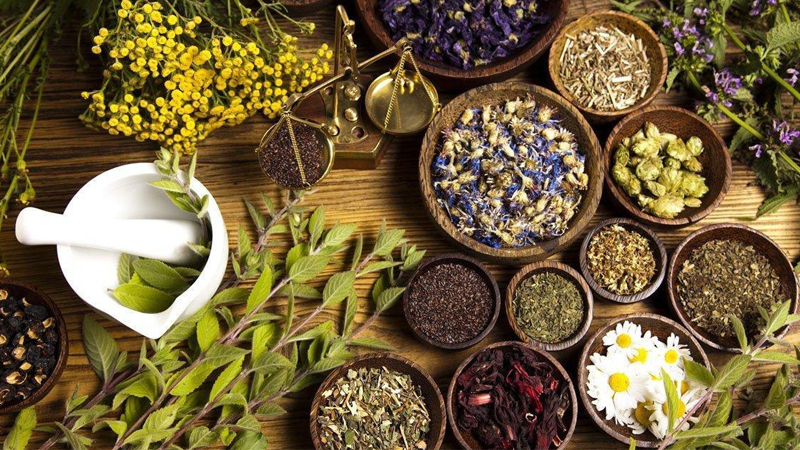 Thuốc nam trị tiểu đường