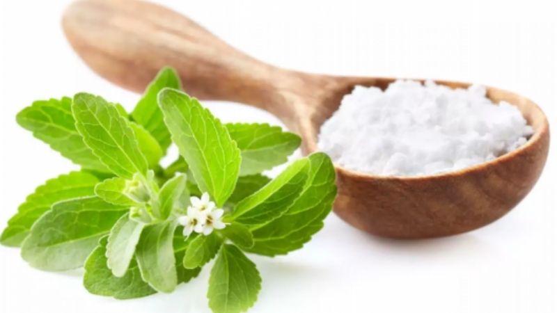 Cỏ ngọt Stevia l&agrave; thảo dược c&oacute; vị ngọt tự nhi&ecirc;n.