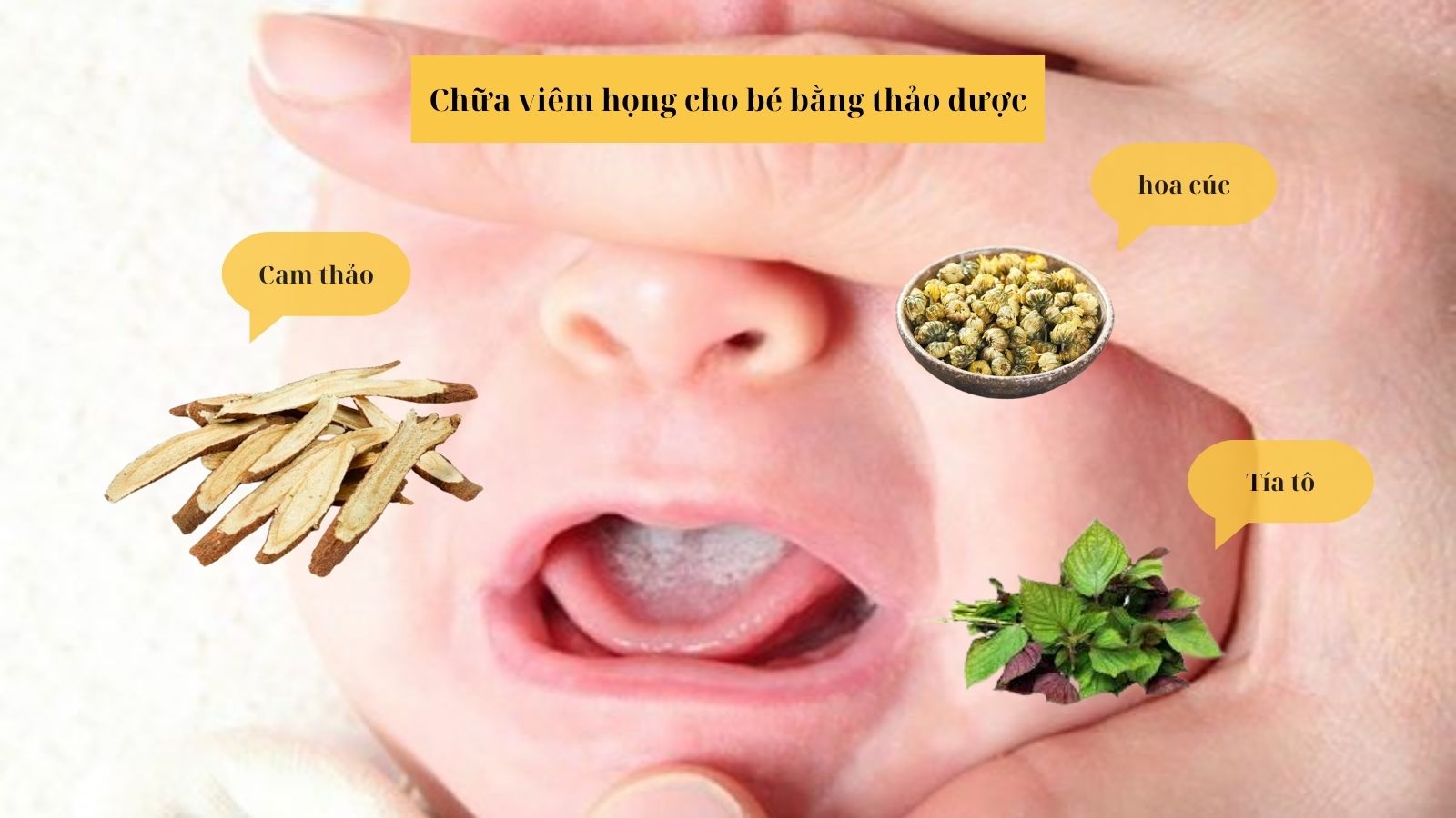 Trà thảo dược có tác dụng làm dịu họng của bé