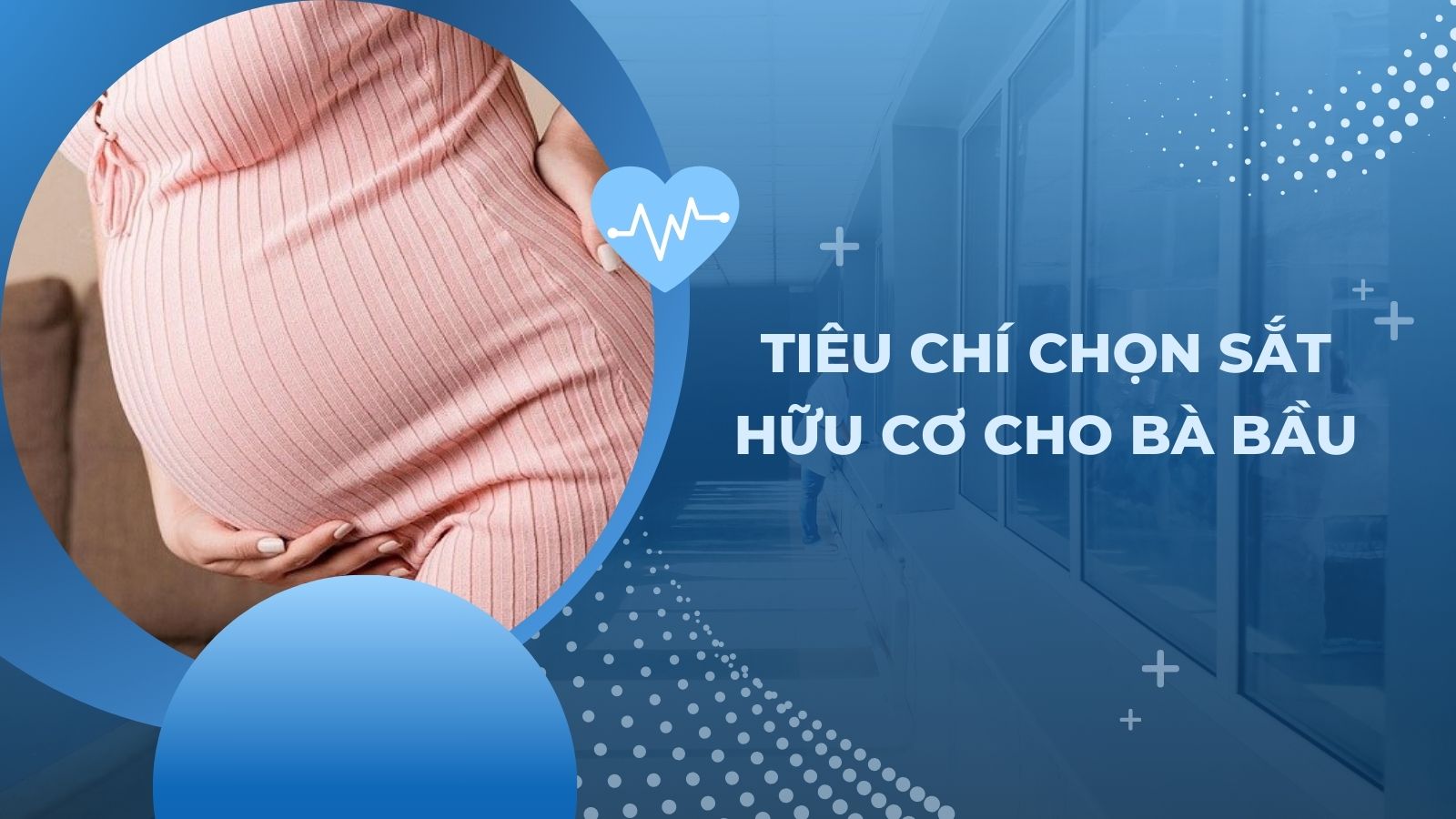 Một số ti&ecirc;u ch&iacute; chọn sắt hữu cơ cho b&agrave; bầu