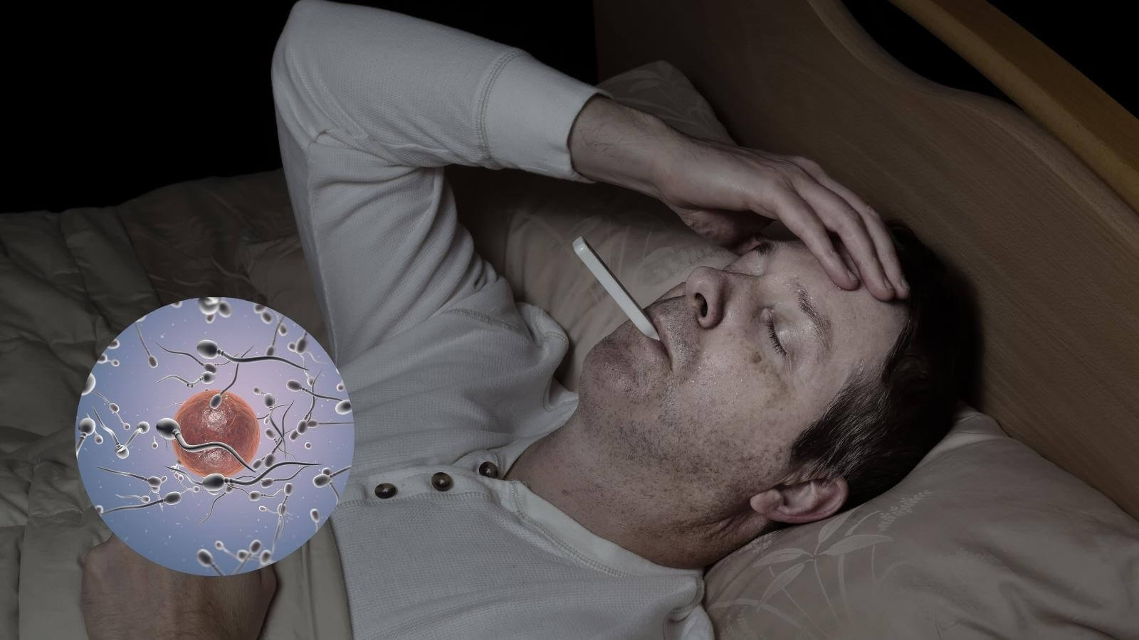 Nhiệt độ cơ thể quá cao ảnh hưởng lớn đến số lượng tinh trùng