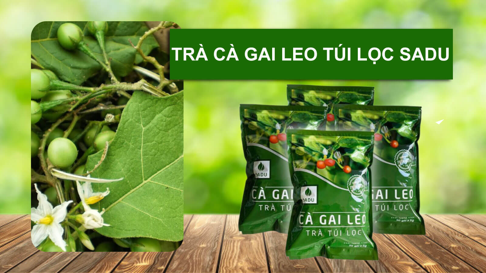 Tr&agrave; C&agrave; gai leo t&uacute;i lọc Sadu
