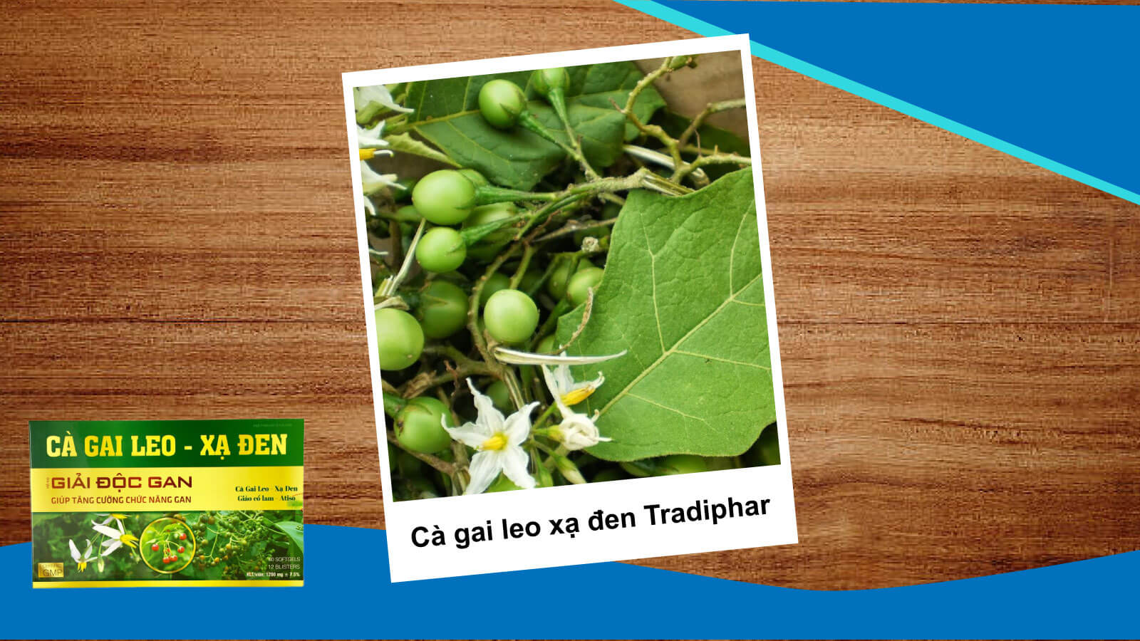 Thuốc C&agrave; gai leo bổ gan đến từ thương hiệu Tradiphar