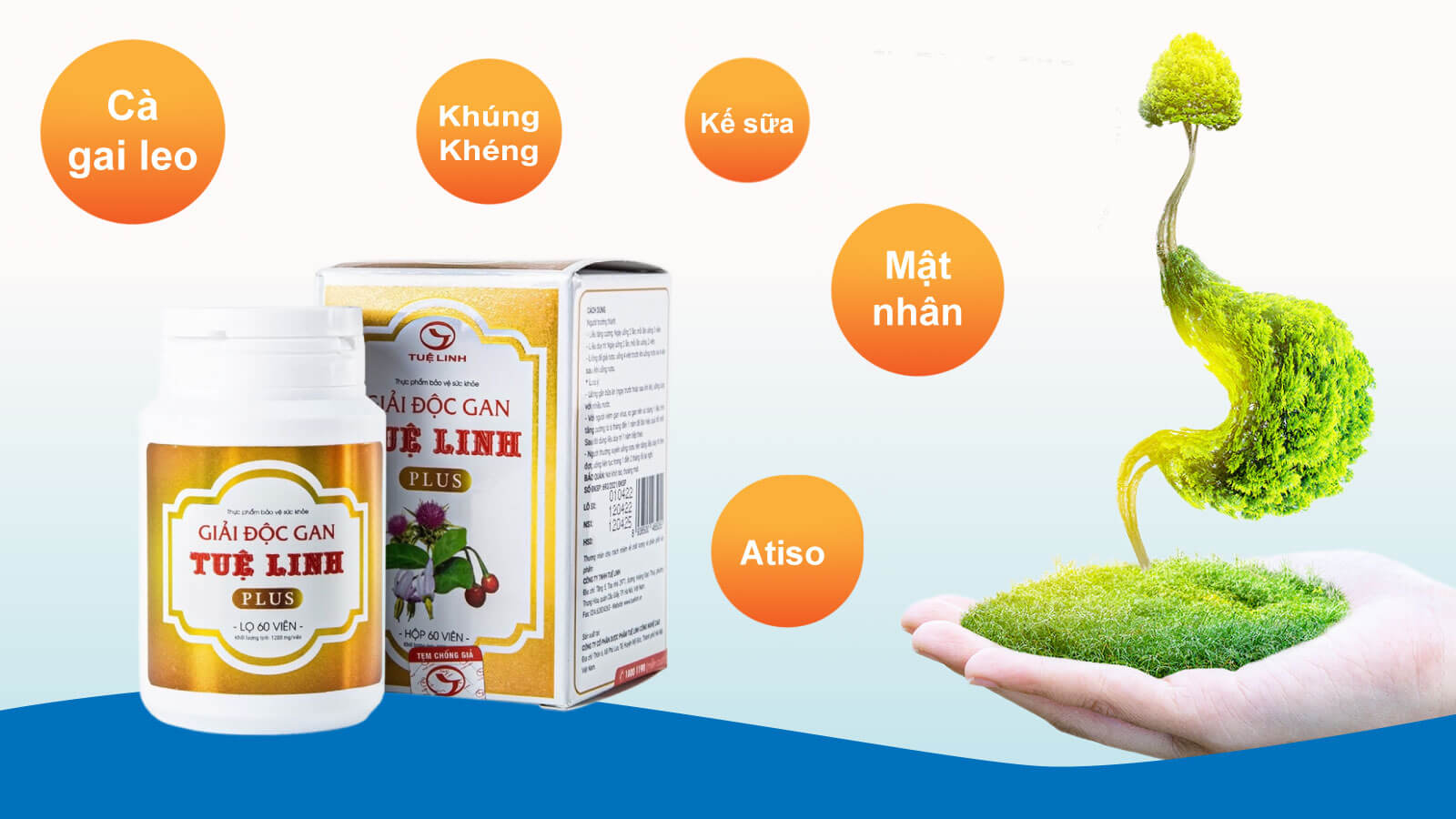 Vi&ecirc;n uống giải độc gan Tuệ Linh Plus