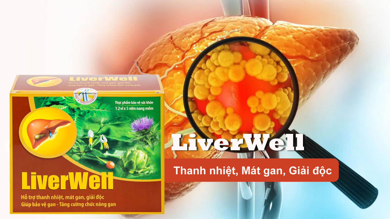 Vi&ecirc;n uống Diệp hạ ch&acirc;u LiverWell 