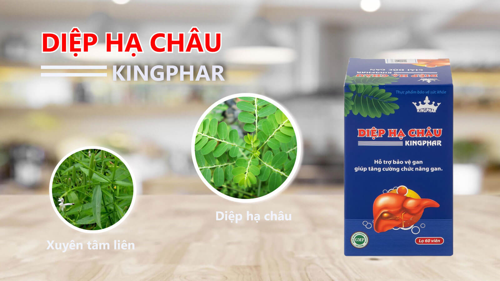 Diệp hạ ch&acirc;u Kingphar đến từ thương hiệu Việt Nam