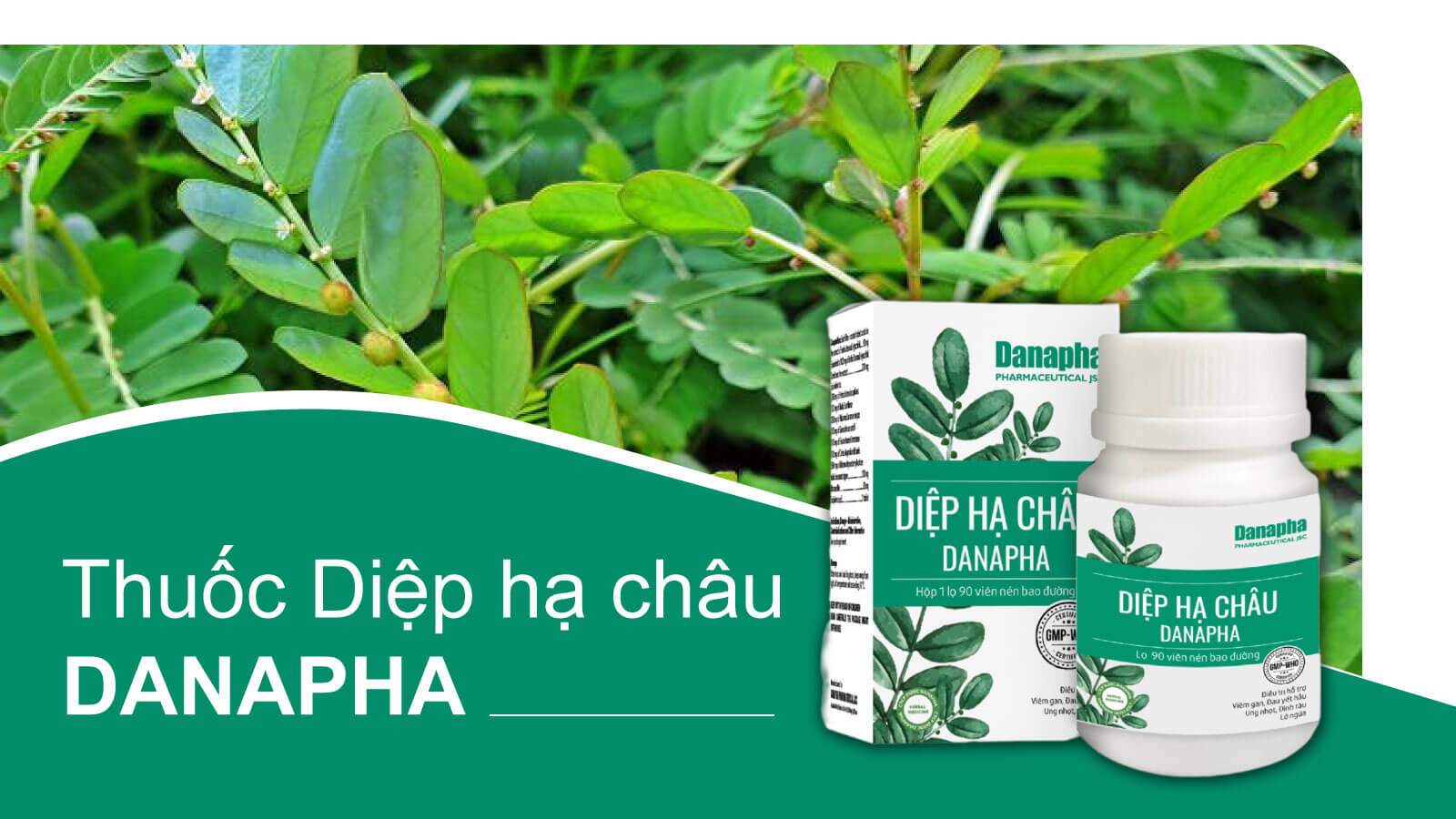 Sản phẩm Vi&ecirc;n uống Diệp hạ ch&acirc;u Danapha