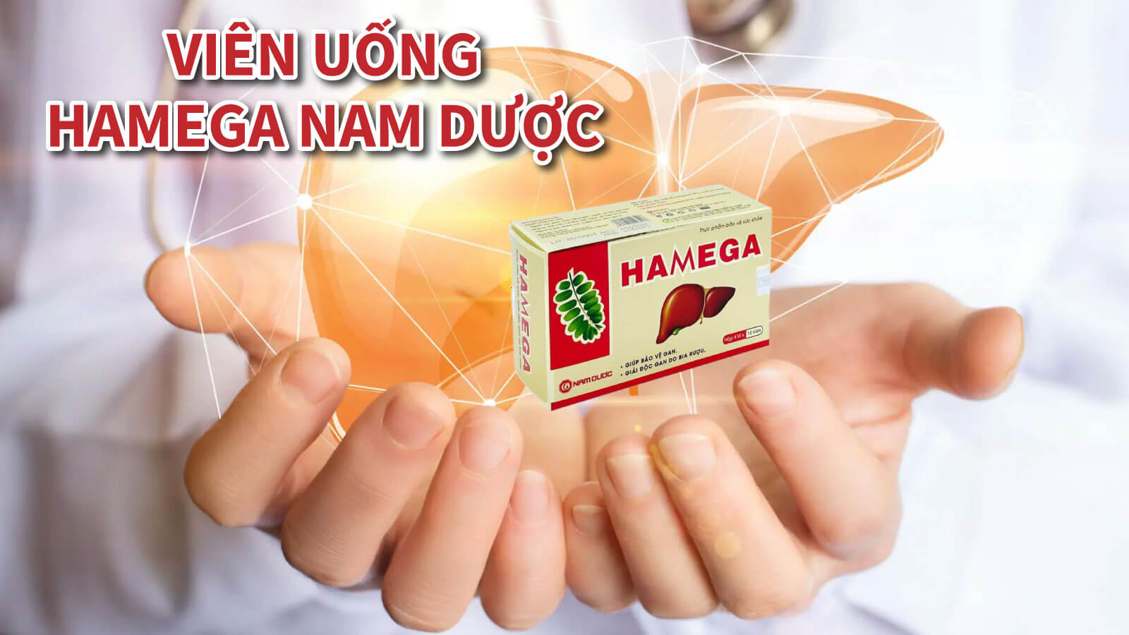 Thực phẩm chức năng Diệp hạ ch&acirc;u Hamega