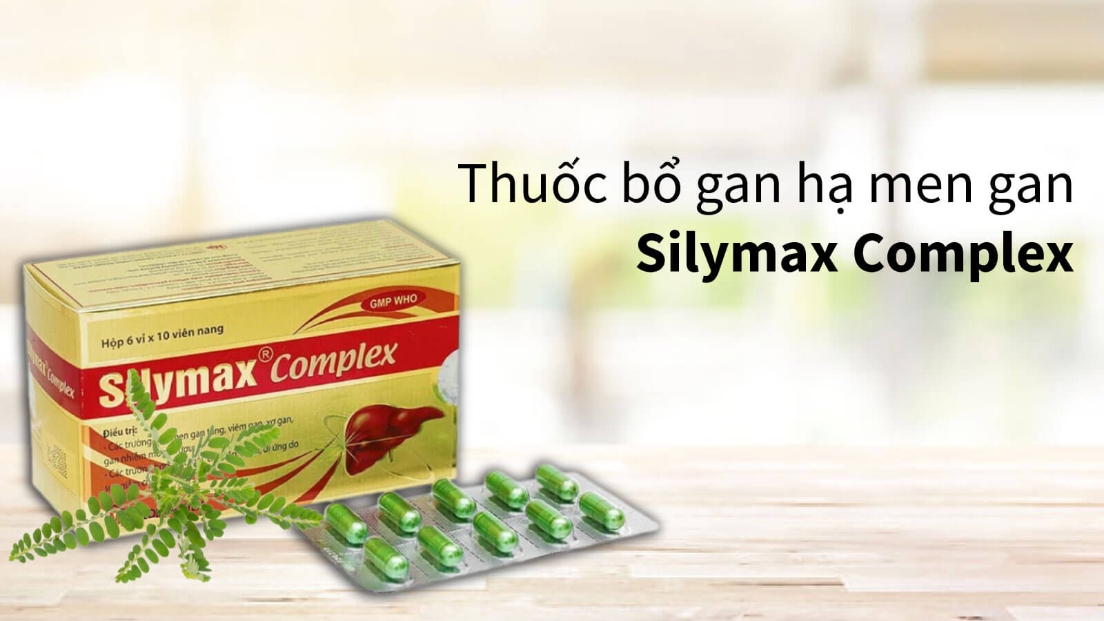 Thuốc Diệp hạ ch&acirc;u Silymax Complex
