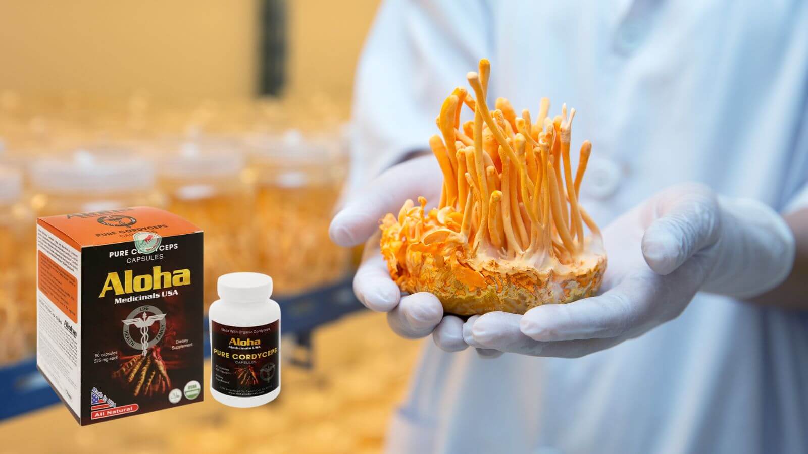 Aloha Pure Cordyceps gi&uacute;p tăng cường sinh l&yacute; ph&aacute;i mạnh