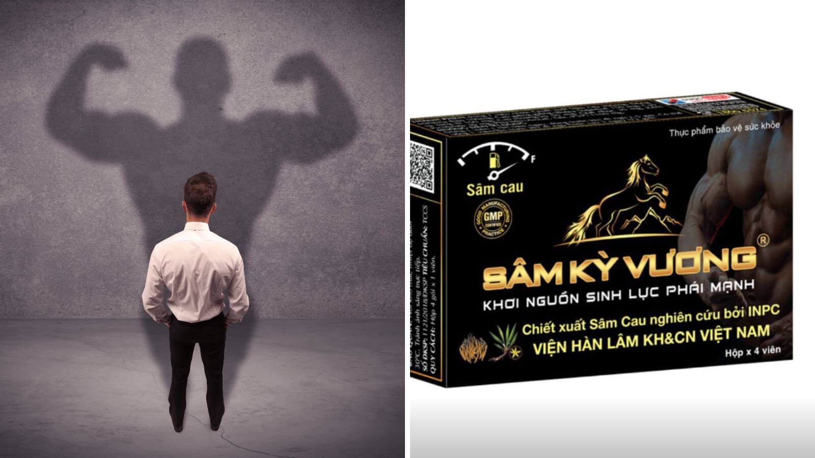 S&acirc;m kỳ vương hỗ trợ điều trị rối loạn nội tiết tố nam, k&iacute;ch th&iacute;ch ham muốn