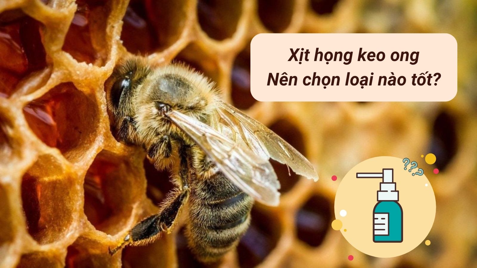 Nắm r&otilde; một v&agrave;i ti&ecirc;u ch&iacute; gi&uacute;p lựa chọn được sản phẩm xịt họng keo ong ph&ugrave; hợp