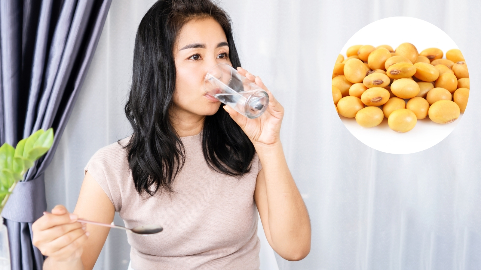 Bổ sung thực phẩm gi&agrave;u estrogen như đậu n&agrave;nh, sữa v&agrave; hạt gi&uacute;p tăng hiệu quả vi&ecirc;n uống tăng v&ograve;ng 1