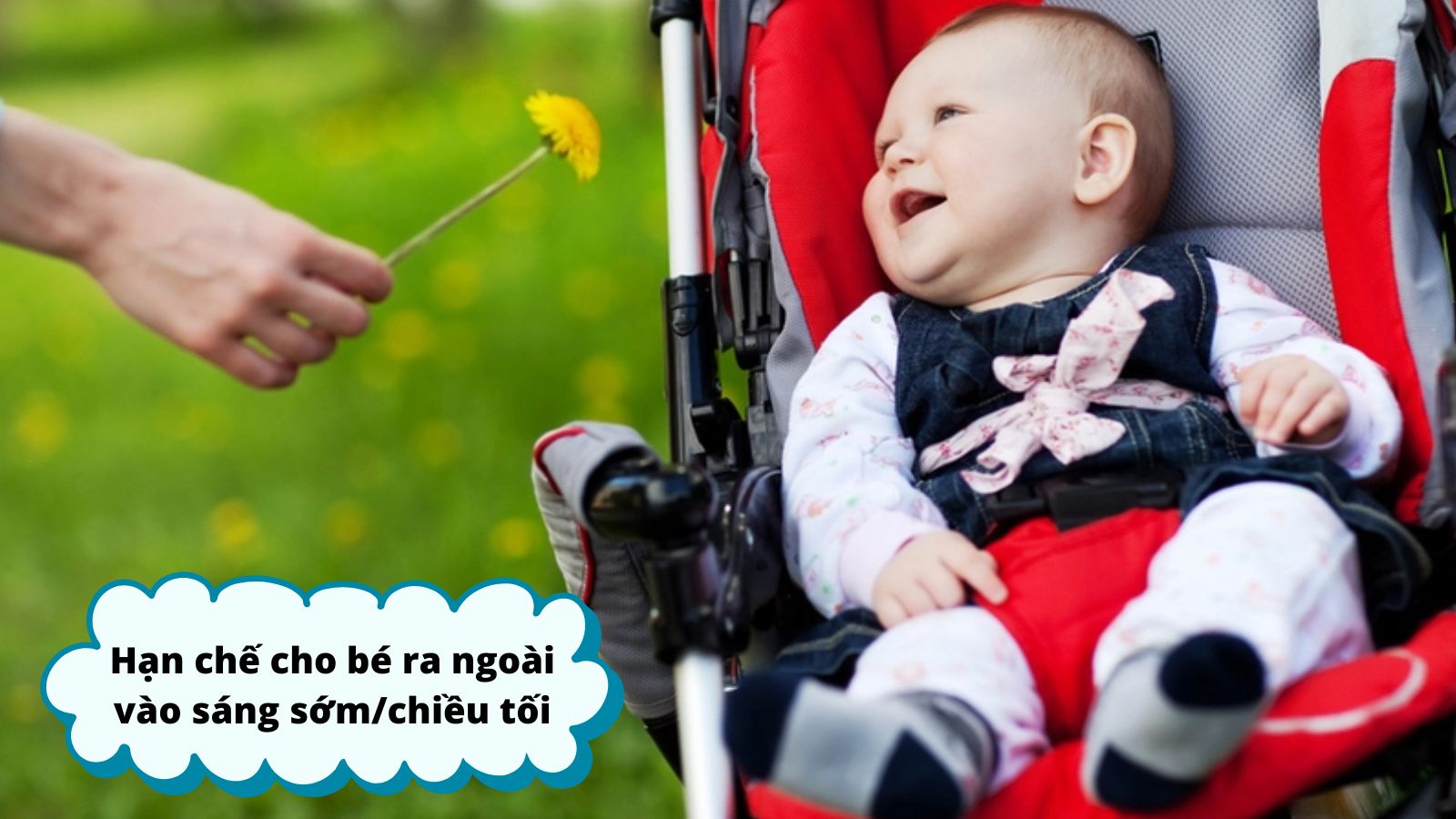 Hạn chế cho b&eacute; ra ngo&agrave;i, đặc biệt v&agrave;o buổi s&aacute;ng sớm hoặc chiều tối